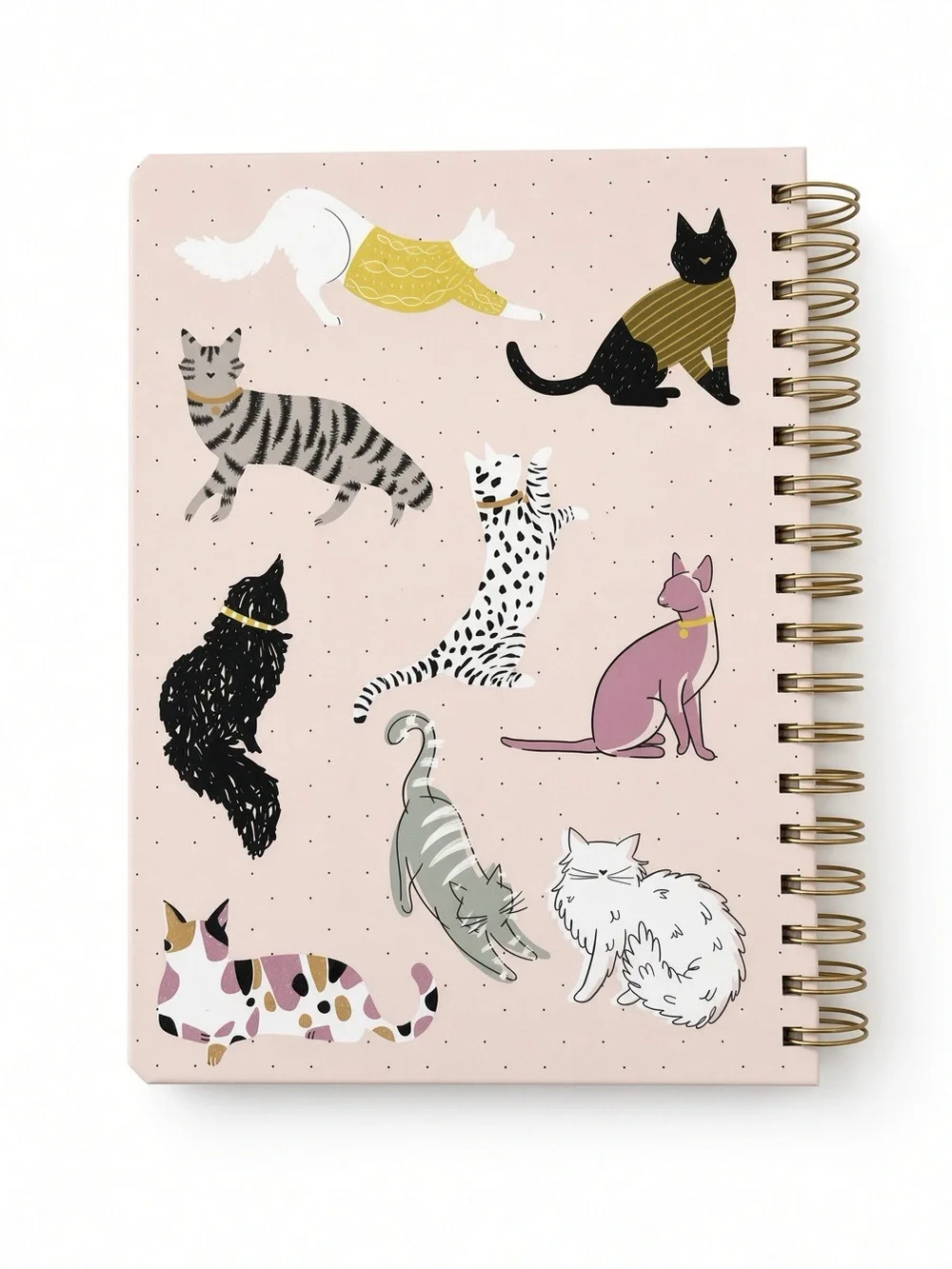 N/A kate windgate